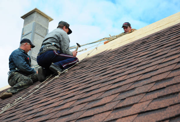 Best Best Roofing Contractors  in Livingston, TN