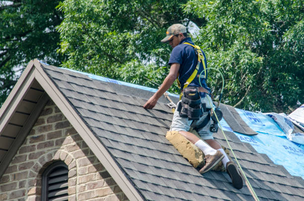 Best Storm Damage Roof Repair  in Livingston, TN