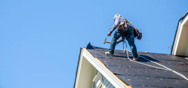 Best Roof Gutter Cleaning  in Livingston, TN